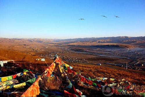 廣州到阿壩藏族羌族自治州物流專(zhuān)線,廣州到阿壩藏族羌族自治州貨運(yùn)公司