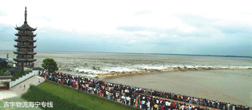 廣州到海寧物流專線,廣州到海寧貨運公司